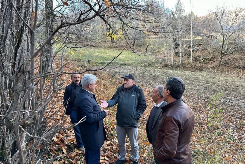 Bitlis’te kestane üretiminde verimi arttırma çalışmaları sürüyor
