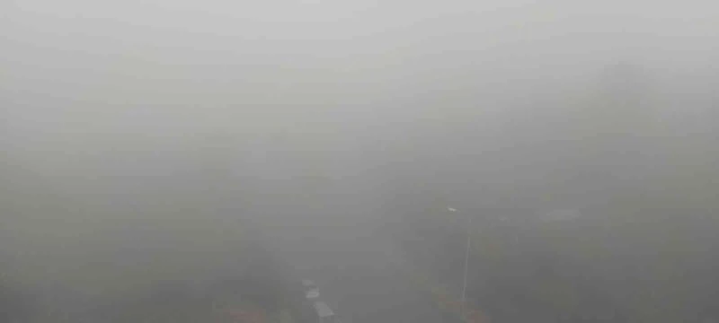 Batman’da yoğun sis görüş mesafesini 5 metreye kadar düşürdü
