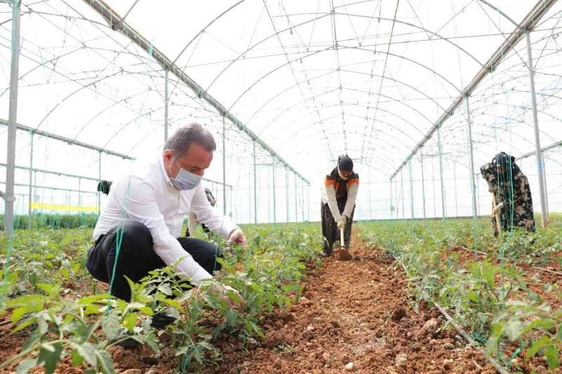 Büyükşehir’den mevsimlik tarım işçilerine destek
