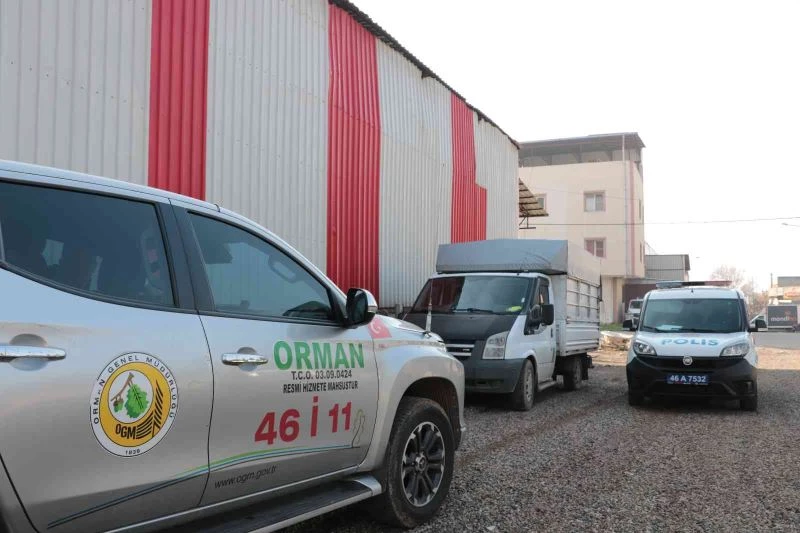 Ağaçları kesti, yakalanacağını anlayınca aracı bırakıp kaçtı
