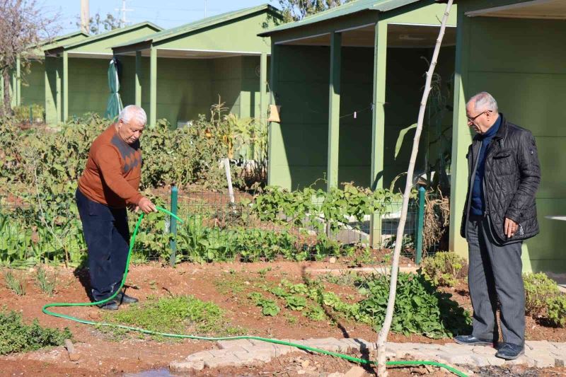 Emekliler zamanlarını sebze işiyle geçiriyor
