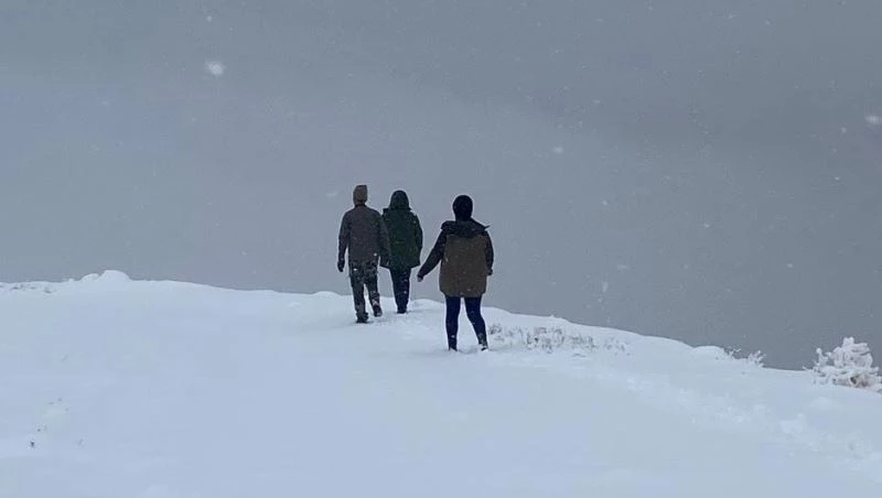 Hayvanları koruma timi kar kış dinlemiyor
