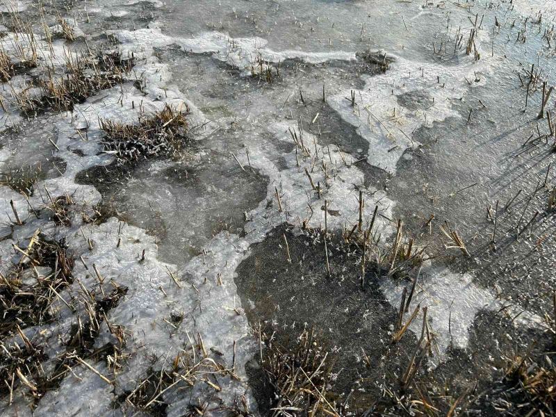 Hava sıcaklığının eksi 5’e düştüğü Erzurum buz tuttu

