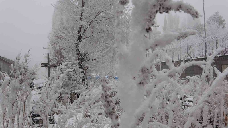 Ardahan eksi 16,7: Sibirya soğukları hayatı olumsuz etkiliyor
