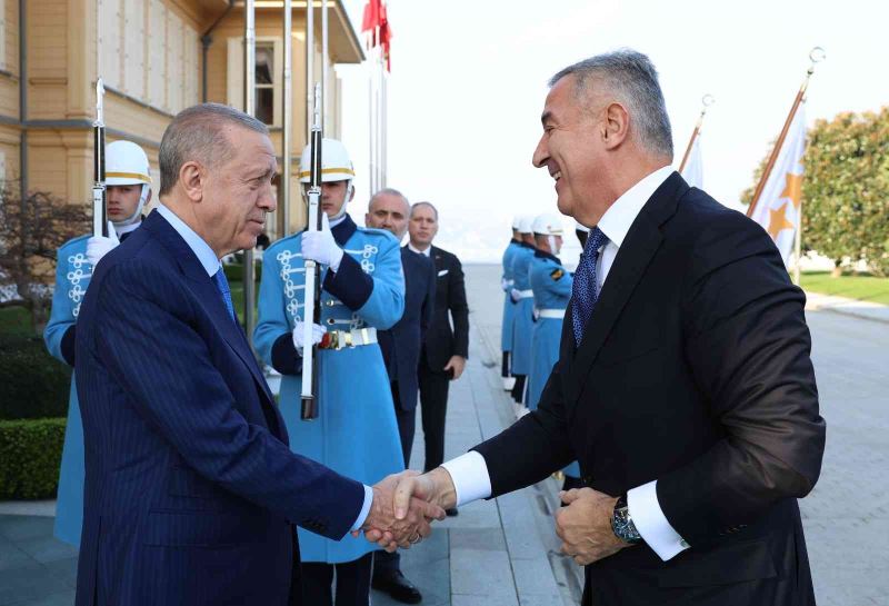 Cumhurbaşkanı Erdoğan, Karadağ Cumhurbaşkanı Cukanoviç görüştü
