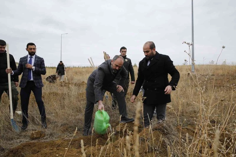 Baberti Külliyesi yeni ağaçlarla renkleniyor
