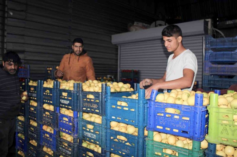 Aydın’da pazarların en rağbet gören ürünü limon oldu
