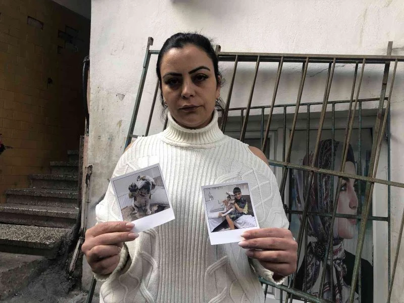 Arnavutköy’de arabayla çarpılarak ölen köpeğin sahibi konuştu
