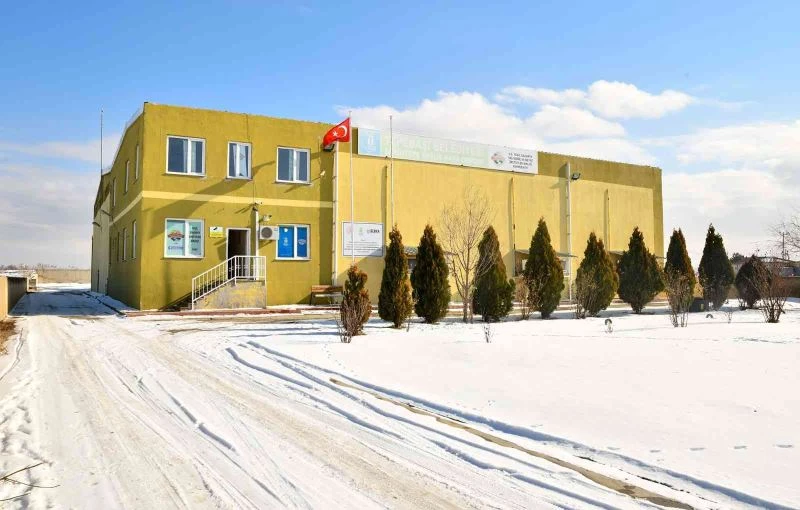 Sakintepe Soğuk Hava Deposu’nda 685 tonluk meyve ve sebze muhafaza edildi
