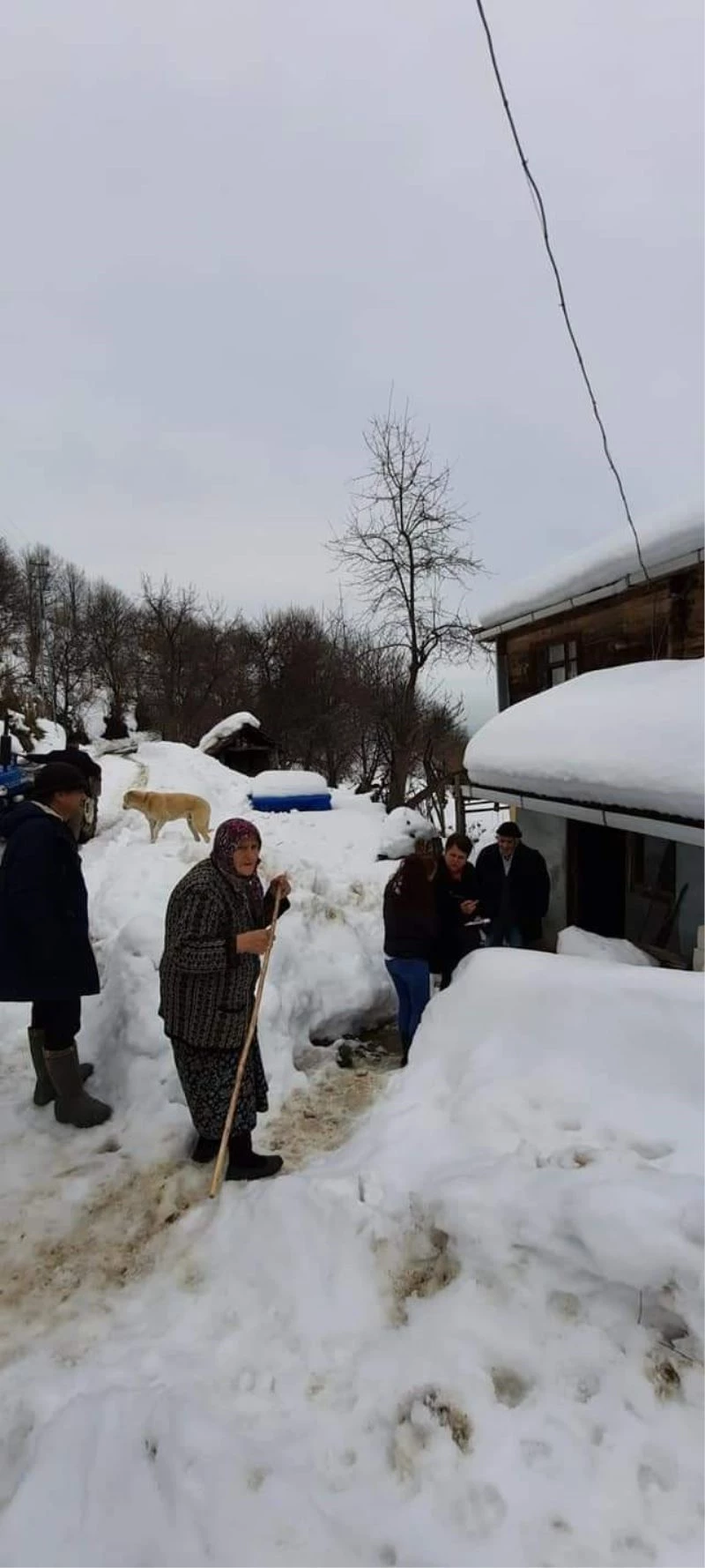 Ayancık’ta video çekip yardım isteyen aileye yetkililer ulaştı
