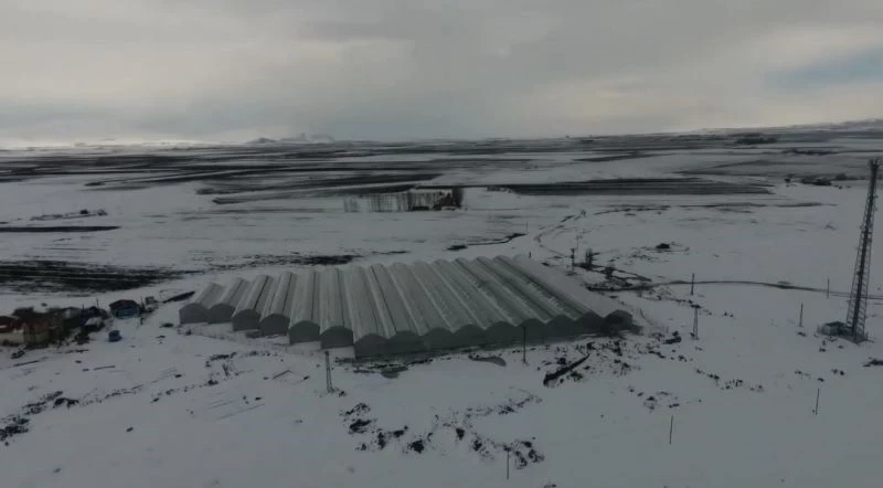 Eksi 30 derecede Hindistan cevizi kabuğunda 25 ton domates üretecekler
