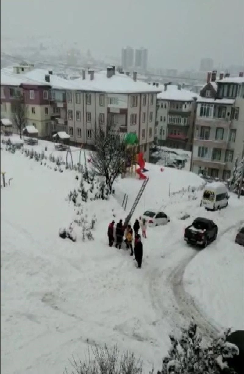 Çöp konteynerine düşen kedi kurtarıldı
