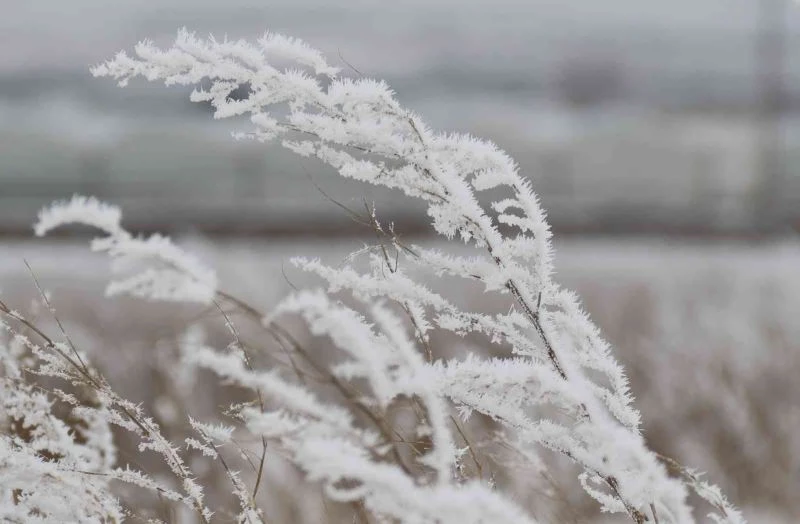 Beyaza bürünen Eskişehir kırsalı adeta buz kesti
