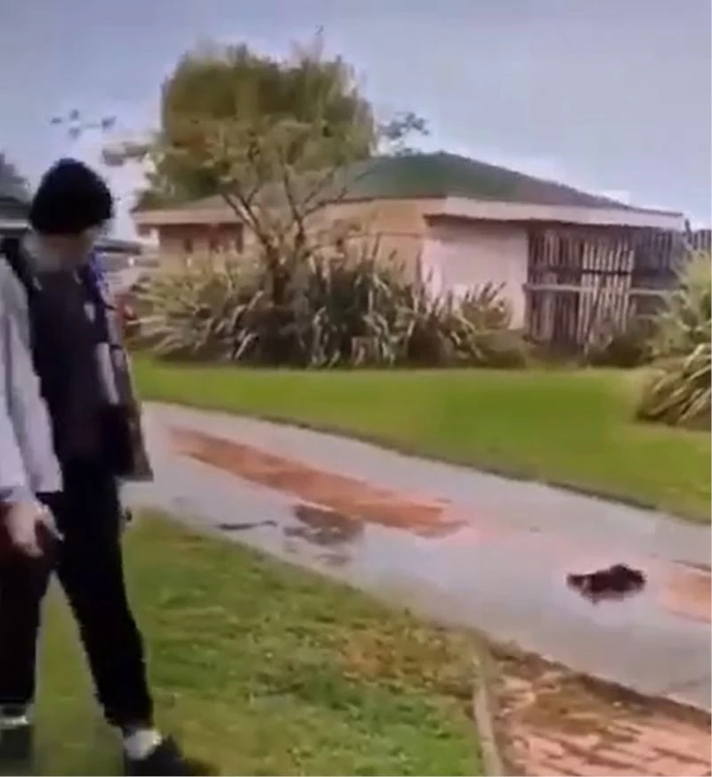 Kedi yavrusuna tekme atan Iraklı gencin 5 yıl hapsi isteniyor
