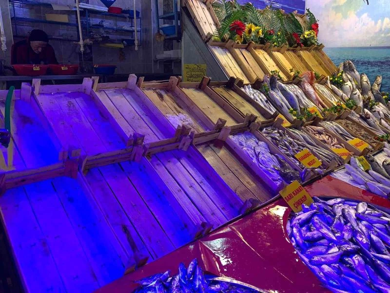 Balığa fırtına vurdu
