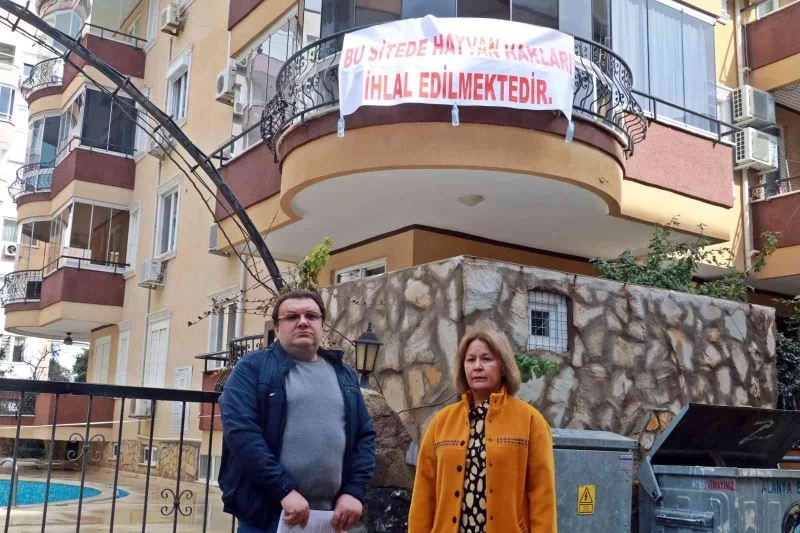 Beslediği sokak kedilerinin mamaları toplatılınca çılgına dönen Hollandalı’dan pankartlı tepki
