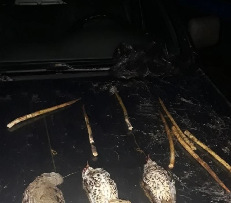 Koruma altındaki ökse ardıç kuşu avlayan şahsa 8 bin 709 lira ceza
