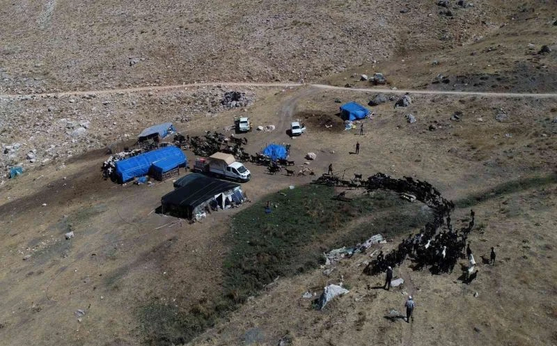 Konyaaltı, hayvancılıktaki uygulamalarıyla Türkiye’ye örnek oldu
