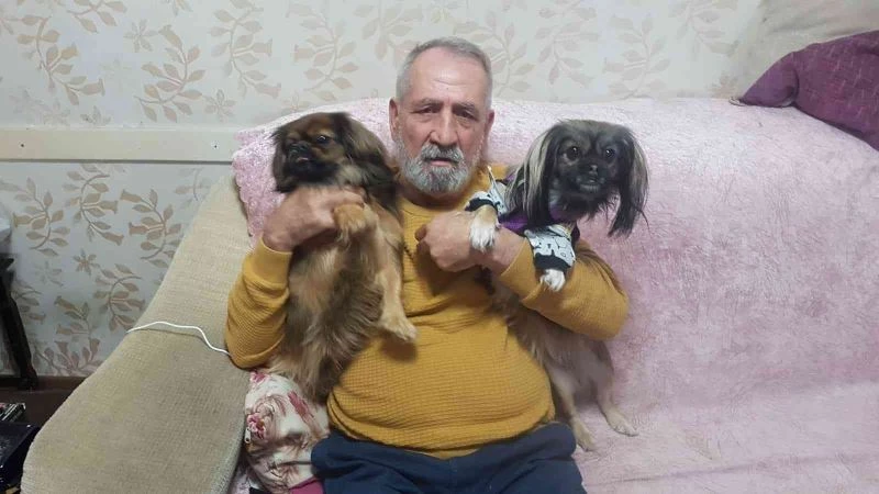 Her yerde kaybolan köpeklerini arıyorlar
