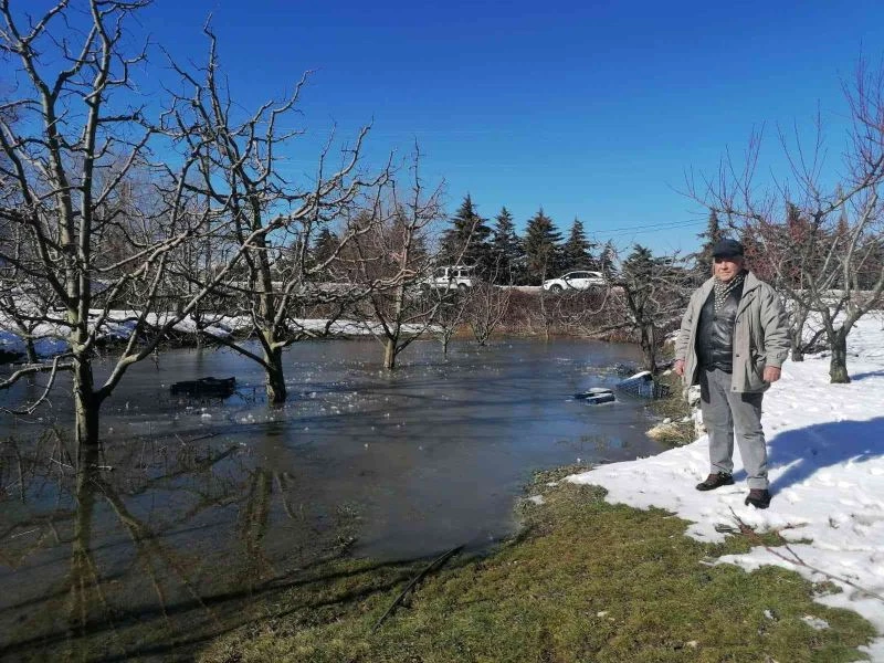 Eğirdirli elma üreticileri yağışlardan memnun
