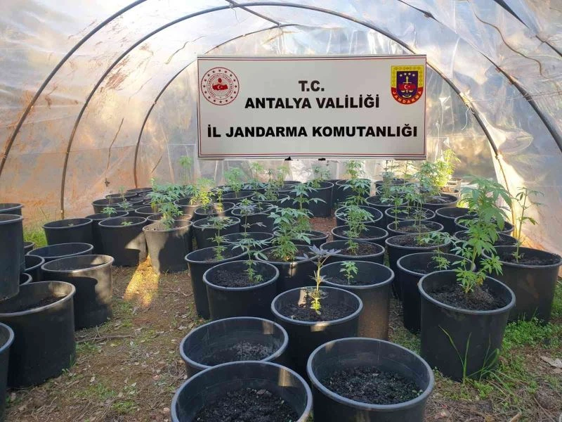 Antalya’da jandarmadan uyuşturucu serasına baskın

