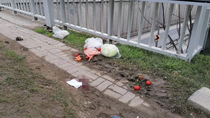 Pazar alışverişinden dönerken otomobilin altında sıkıştı
