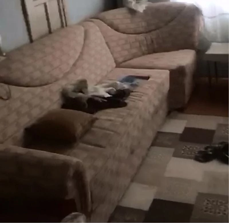 Hırsızlar güpegündüz kapısını ve pencere korkuluklarını çaldıkları evi talan etti
