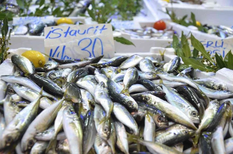 Balıkçı tezgahlarında durgunluk
