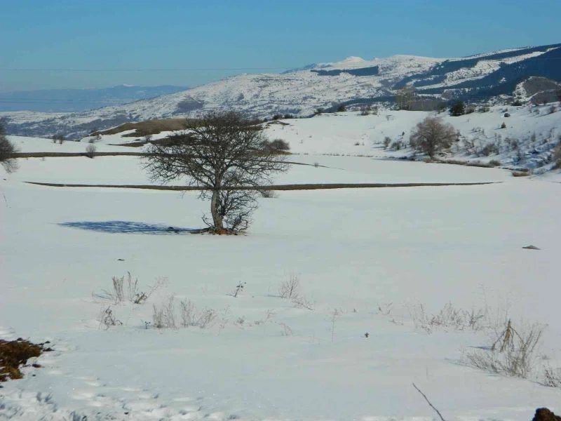 Posof’ta göller dondu
