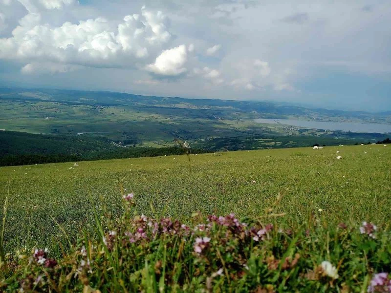 Samsun’da güneşten yıllık 73 milyon kilovatsaat enerji üretilecek
