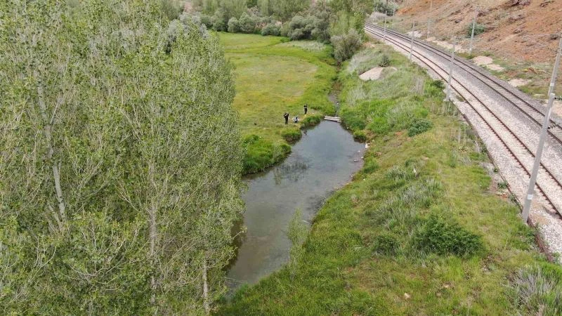 Cumhurbaşkanı imzayı attı, doktor balıklar köyüne kavuşuyor
