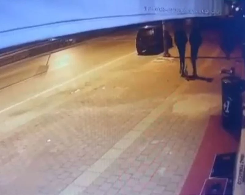 Kediyi tekmeleyerek metrelerce havaya uçurdular
