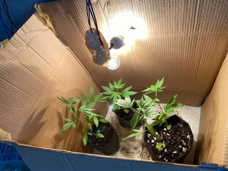 Karton kutuda uyuşturucu üretimine baskın
