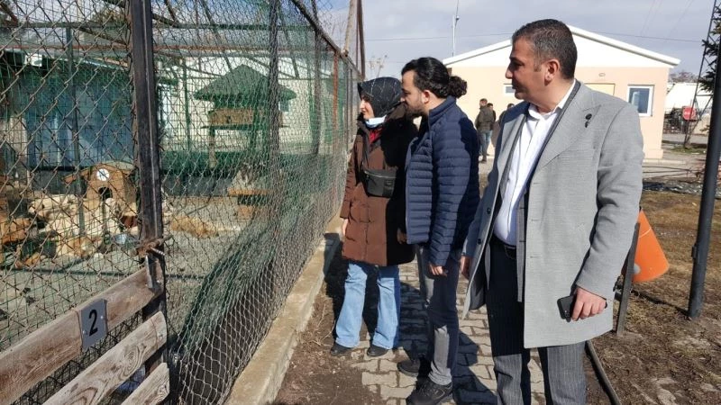 Baro heyeti hayvan barınağında incelemelerde bulundu
