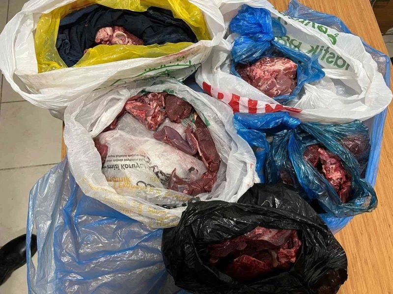 Ekiplerden avcılara baskın
