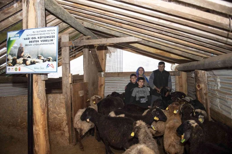 ’Haydi gel köyümüze destek verelim’ projesi, damızlıklarla çoğalıyor
