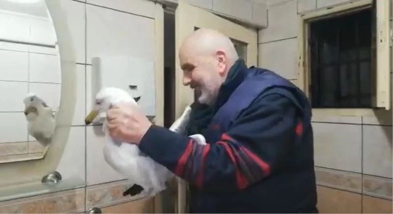 Hava boşluğuna düşen martıyı vatandaşlar kurtardı
