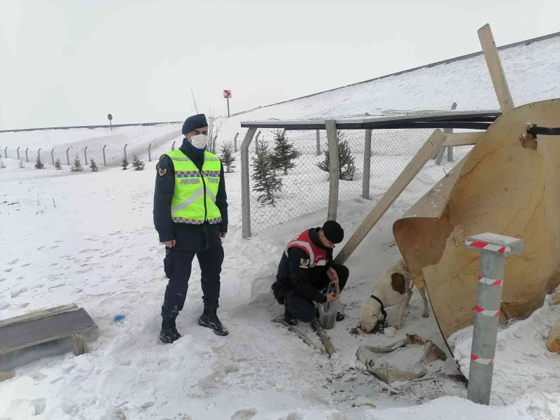 Terk edilen pitbull ırkı köpeğe Jandarma ekipleri sahip çıktı
