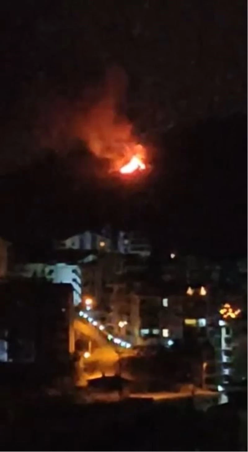 Bursa’da alevleri görenler orman yangını zannetti, bağ evi yangını çıktı
