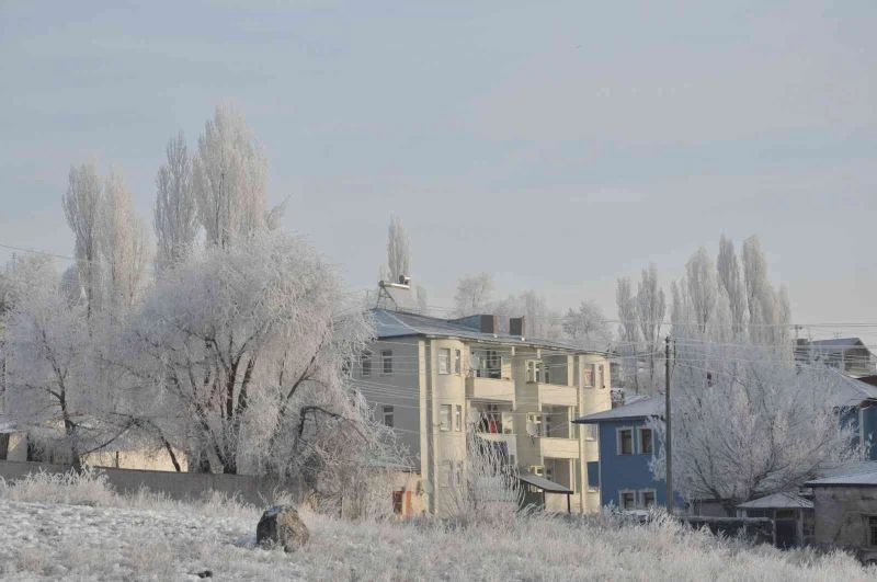 Kars buz kesti, ağaçlar kırağı tuttu
