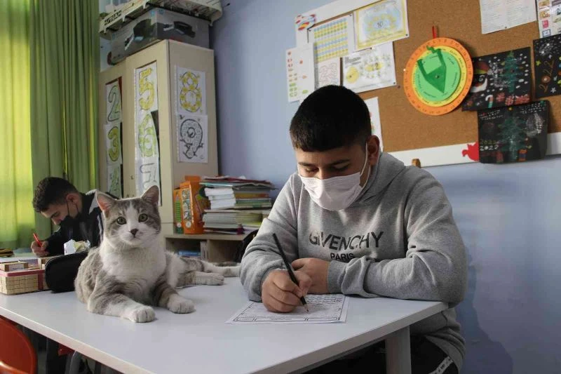 Max ve Duman öğrencilerin maskotu oldu
