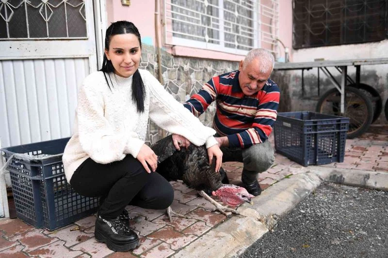 TEKSİN üzerinden Başkan Seçer’e ulaştı, yeni hindisine kavuştu
