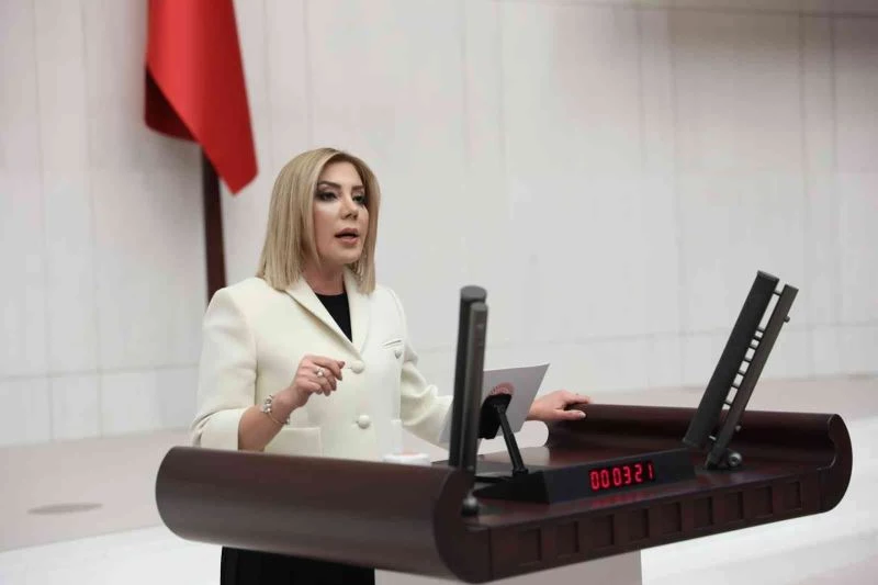 AK Partili Gökcan, çimento fabrikasına ruhsat verilmesini eleştirdi
