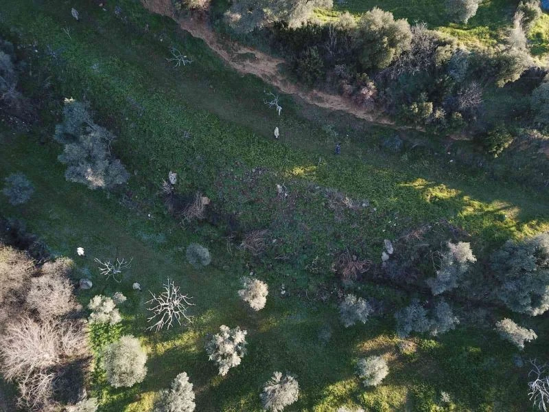 Kaybolan Alzheimer hastasını drone ile buldular
