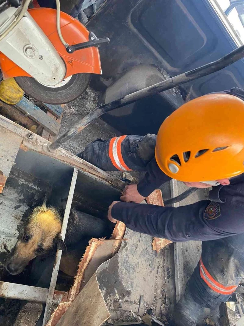 Ankara İtfaiyesi bir günde iki canın yardımına koştu
