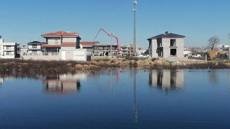 Yağmurla oluşan gölcükler göçmen kuşları sevindirdi
