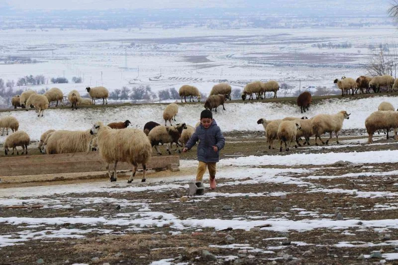 Valilik’ten yayla ve mera kullanımı genelgesi
