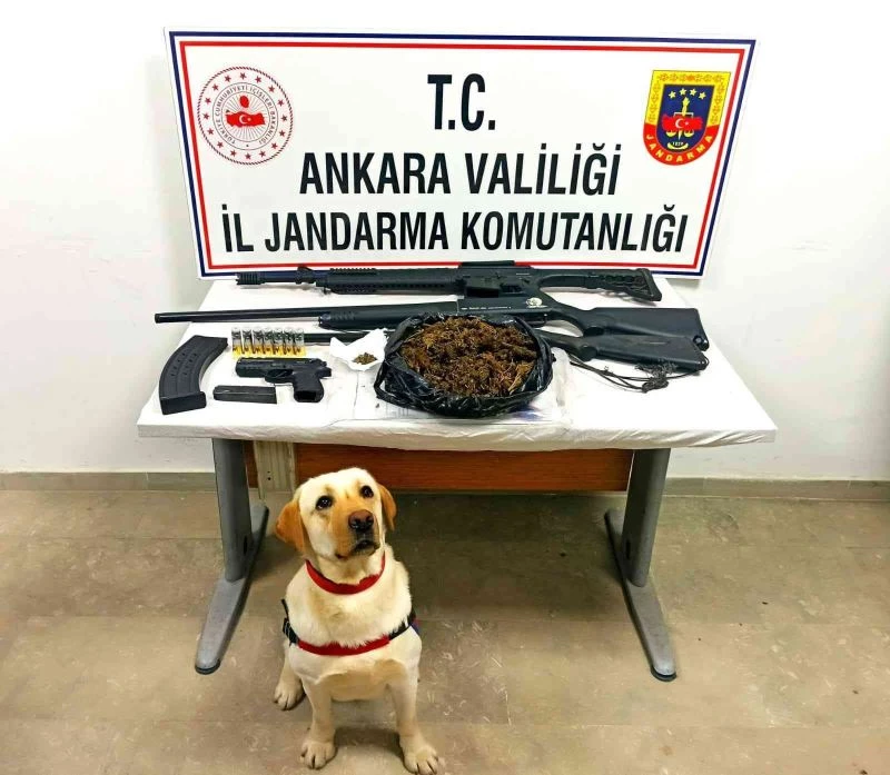 Başkent’te Jandarma operasyonları ile suça ve suçluya göz açtırılmıyor
