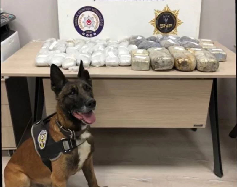 Yabancı plakalı araçta 18 kilo eroini ‘Stark’ buldu
