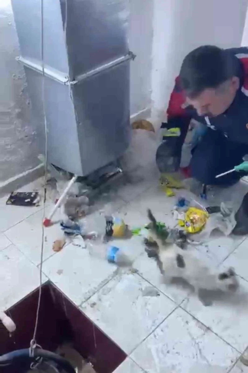 Havalandırmada sıkışan yavru kediyi itfaiye kurtardı
